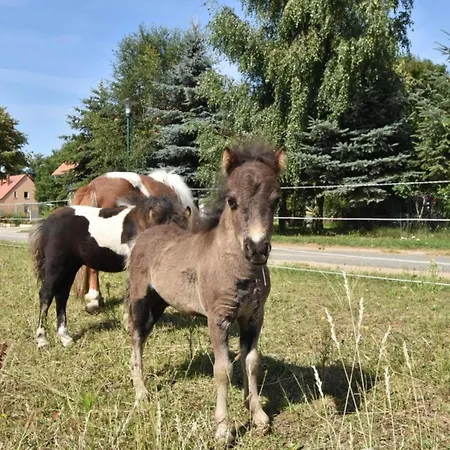 Gutshofblick L Apartment Kropelin